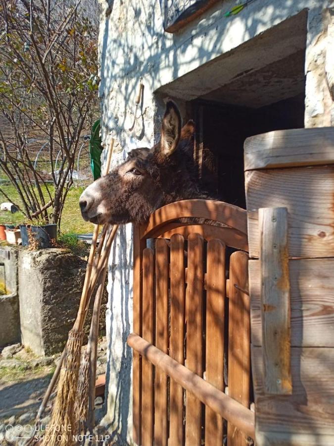 Agriturismo Cascina Gervasoni San Giovanni Bianco Bagian luar foto